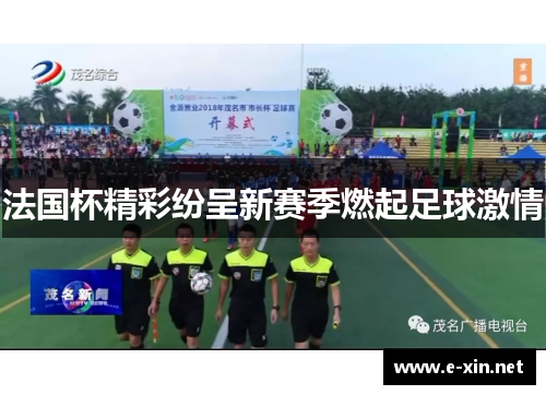 法国杯精彩纷呈新赛季燃起足球激情