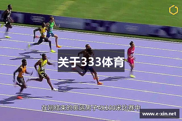 关于333体育